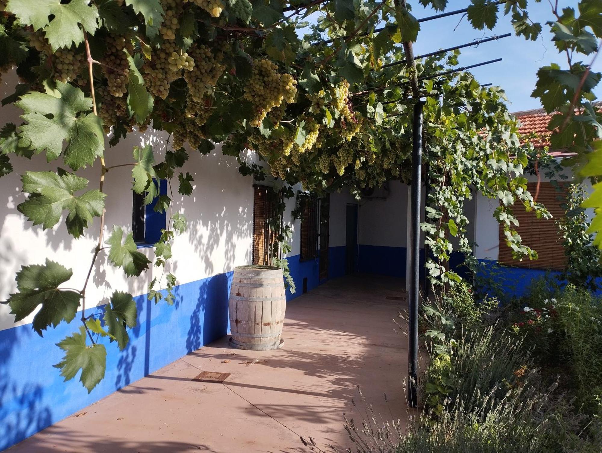 Casa Rural Manchega La Alameda de Cervera Exterior photo